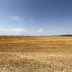 1142 ha crop farm in Romania for sale close to Cluj-Napoca