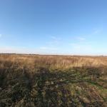 2.218 ha farmland in Russia, Kaliningrad area