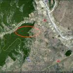 Forest for sale-