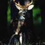 South Carolina Hunting Preserve