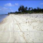 20% Discount on Paradise Acklins Bahamas Beach Land