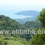 Big Land To Develope in Tambor Beach Costa Rica