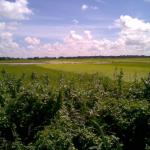 CHEAP LAND AVAILABLE (1 acre to 5000 acre)