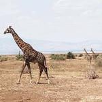 Plot for safari lodge for sale at Lake Manyara, Tanzania