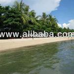 Beach Resort For Sale