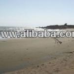 Beachfront Property in the beautiful azuero peninzula