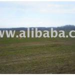 agriculture land-