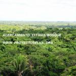 LAND IN PERU 117 Hectares of FOREST