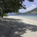 Lombok Beach Lodge &amp; Diving Center for Sale-