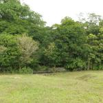 BEAUTIFUL FARM with COMMERCIAL and RESIDENTIAL PURPOSES in COSTA RICA
