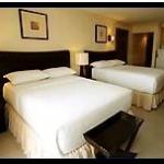 Crown Regency Mactan Cebu Php3,500 / night-