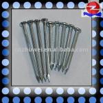 Excellent Quality Concrete Nails (with head or not)