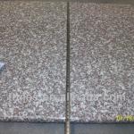 Cheapest price hot sale Chinese G664 granite countertop slab stone tile
