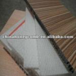 plastic honeycomb core for curtain wall