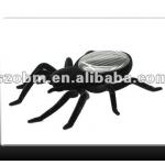 Black Solar Spider