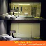 Best Smart Switchalbe Film/Chinese Privacy Glass
