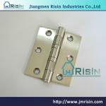 Stainless Steel Door Hinge