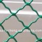 PVC coated window wire mesh (23 years factory )-XC95154