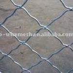 beautiful wire mesh