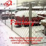 fence netting (best quality , low price , exporter &amp; manufacturer , factory)