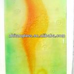 China Newest Fused glass door for Decorative(ZT-6004)