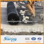 Fiberglass geogrid