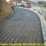 High Quality Uniaxial Geogrid(TGDG) for improving bearing capacity of road bed