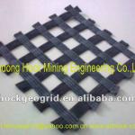 PET geogrid for slope,retaining wall,breakwater,marine and soil reinforcement