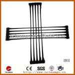 PP or PE Uniaxial Geogrid with CE Certificate-TGDG009