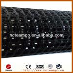 Building (Road) Geogrid Producer