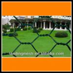 good quality hexagonal wire mesh from anping factory