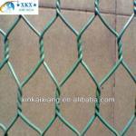 PVC Hexagonal Wire Mesh Manufacturer