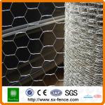 Galvaniesd &amp; PVC coated hexagonal gabion wire mesh box