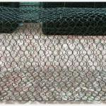 PVC Coated &amp; Galvanized Hexagonal Gabion Mesh /Gabion Box