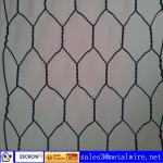 WH-25 ISO 9001:2008 High Quality And Factory Price Hexagonal Wire Mesh