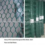 (Factory)PVC Hexagonal Wire Mesh(ISO9001)