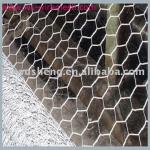 hexagonal iron wire mesh/chicken mesh