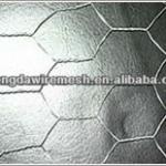 Stainless Steel/Galvanized Hexagonal Wire Netting with ISO9001