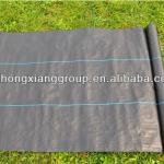 PP ground cover/Anti grass cloth/control ground cover 75g/m2 and 90g/m2