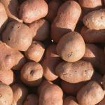 LECA Light Expanded Clay Aggregate