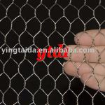 Galvanized hexagonal wire mesh-