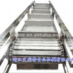 Fruit &amp; Vegetable stainless steel chain-plate elevator