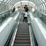 Airport passenger conveyor escalator