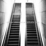 Sicher Passenger Escalator with CE and GOST