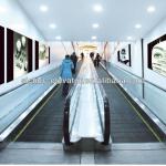 Hangzhou safe VVVF moving sidewalk price CE approved