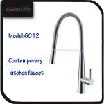 Contemporary Serman water ridge single lever kitchen sink faucet