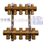 Brass Manifold