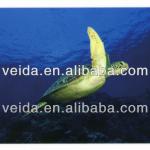 VEIDA Sponge PVC Flooring/Vinyl PVC Flooring 2.2MM/ PVC FLOORING PICTURES
