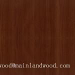 Good Quality Walnut Wood , Furniture Walnut Timber , Black Walnut Wood