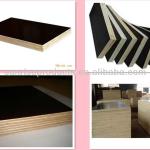 black/ brown color construction film faced plywood